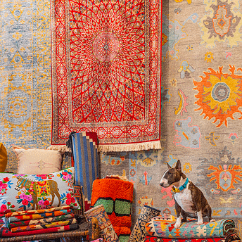 Oriental Rugs for Sale